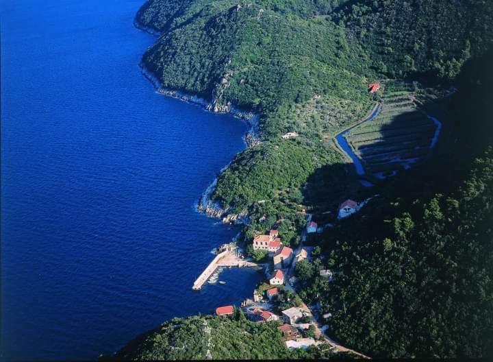 Polly Apartments With Swimming Pool Babino Polje Εξωτερικό φωτογραφία