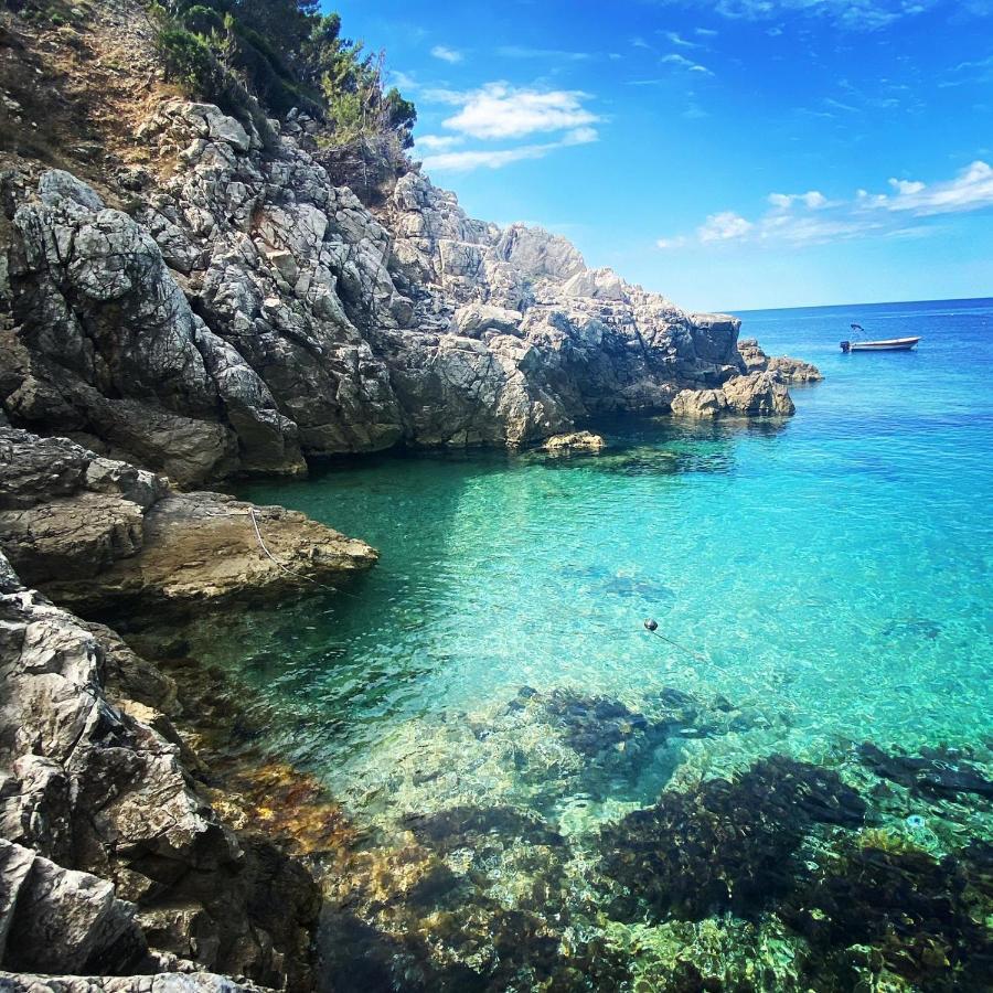 Polly Apartments With Swimming Pool Babino Polje Εξωτερικό φωτογραφία